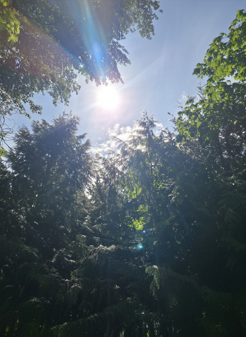 paisaje